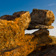 Image for article titled Complementary Colors 2